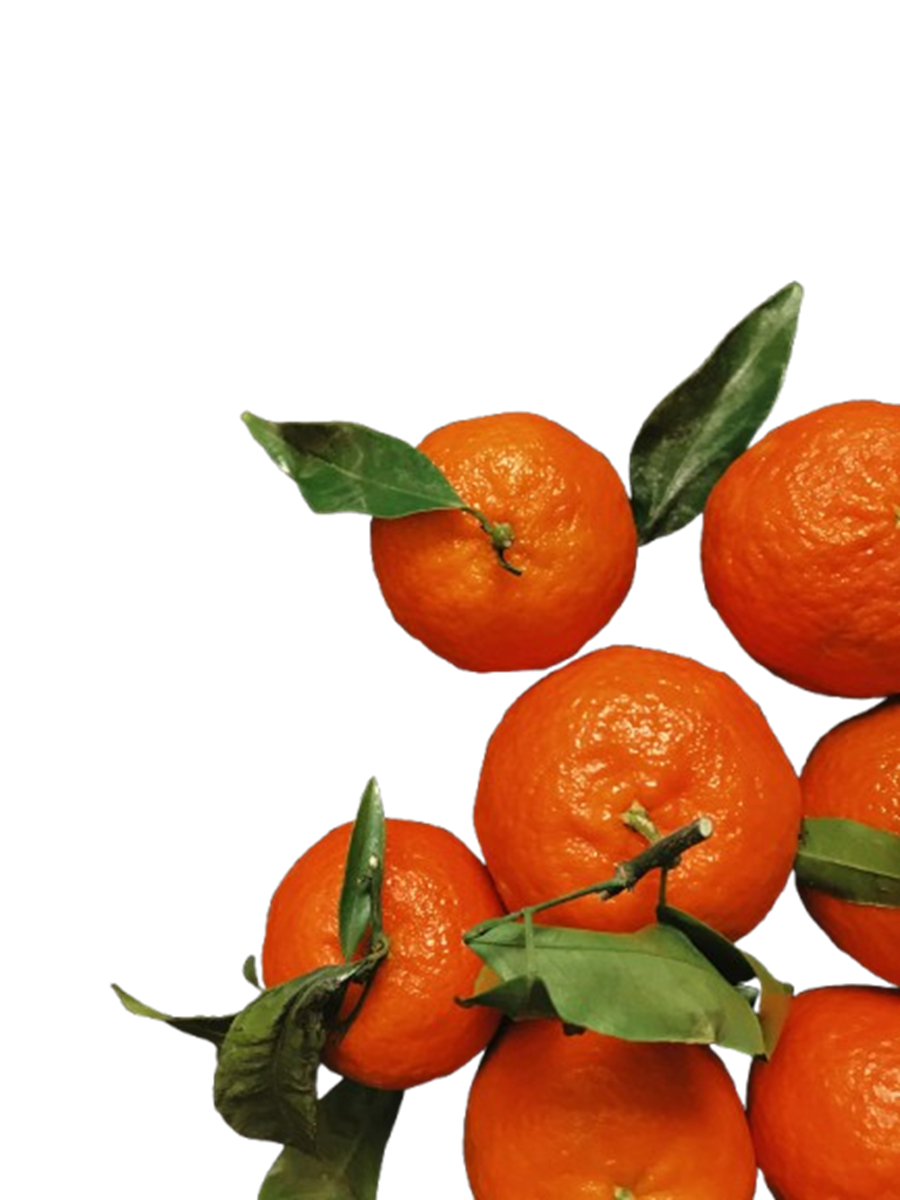 Health First produce