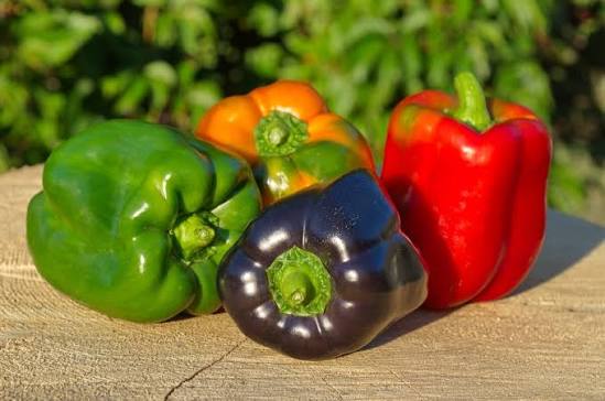 Colored Peppers